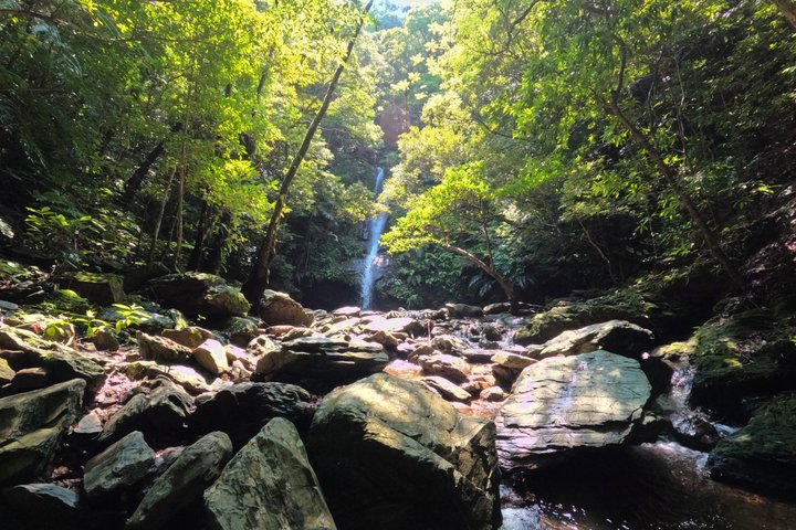 Okinawa Jungle Trails & Watervallen – Privétour door Yanbaru