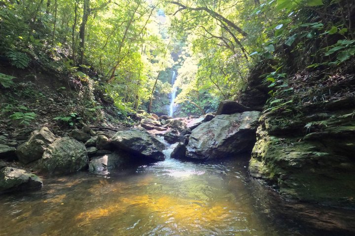 Okinawa Jungle Trails & Watervallen – Privétour door Yanbaru