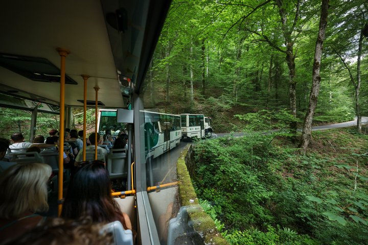 Tour guidato di Zadar ai Laghi di Plitvice con biglietti
