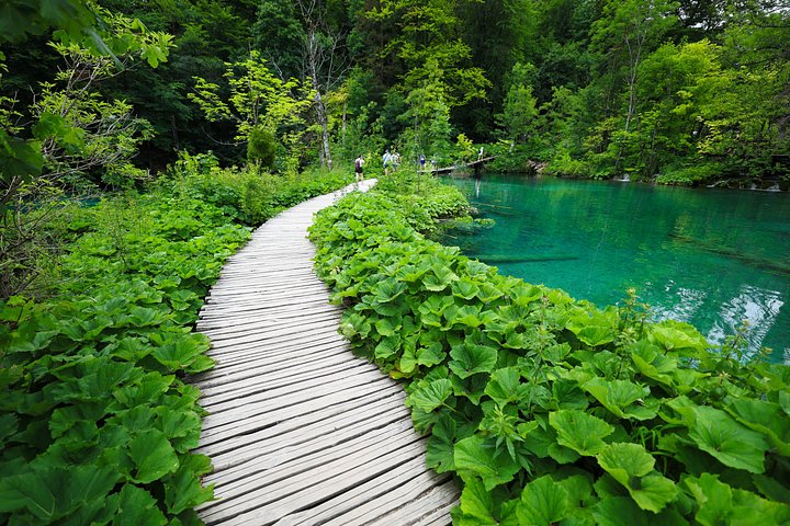 Tour guidato di Zadar ai Laghi di Plitvice con biglietti