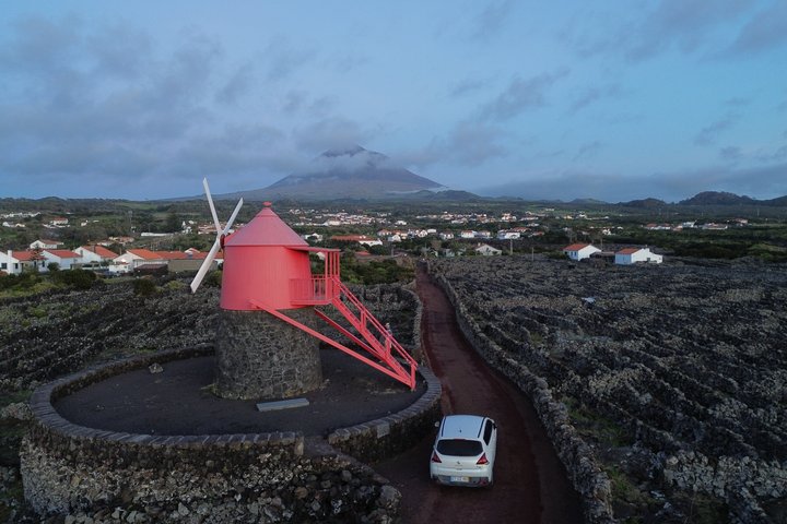 Tour privato del vino di Pico Island con degustazioni