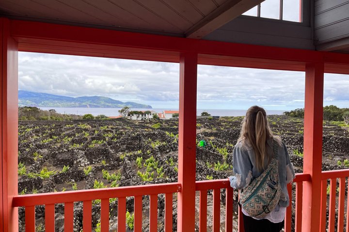 Tour privato del vino di Pico Island con degustazioni
