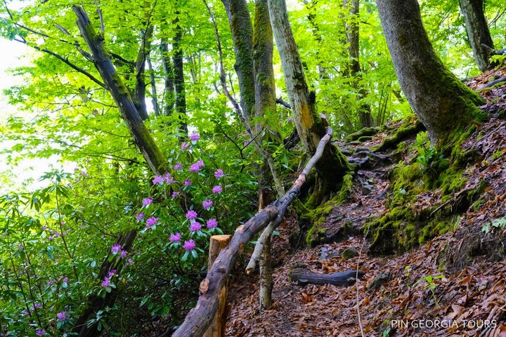 Privéwandeltocht naar het Machakhela National Park vanuit Batumi