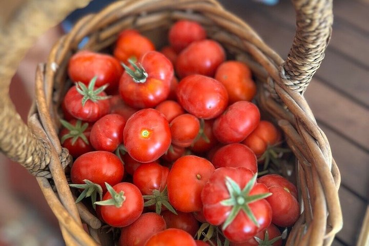Excursão gastronômica e vinícola na fazenda familiar de Santorini com aula de culinária