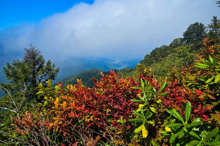 Privéwandeltocht naar het Machakhela National Park vanuit Batumi