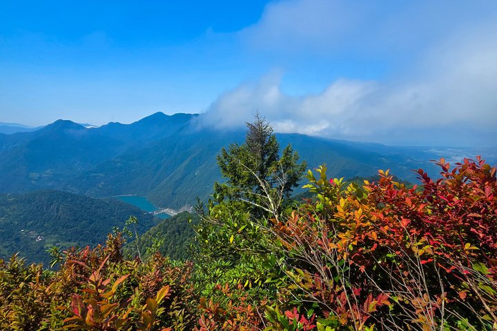 Privéwandeltocht naar het Machakhela National Park vanuit Batumi