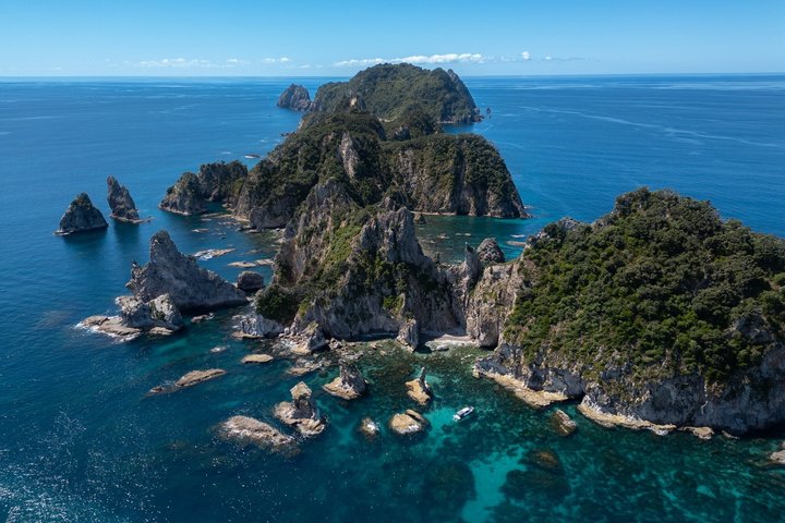 Coromandel äventyr och vilda djur båttur till Aldermen Islands