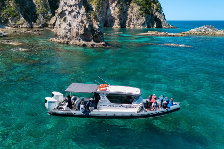 Coromandel äventyr och vilda djur båttur till Aldermen Islands