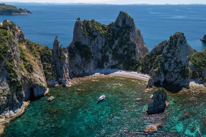 Coromandel äventyr och vilda djur båttur till Aldermen Islands
