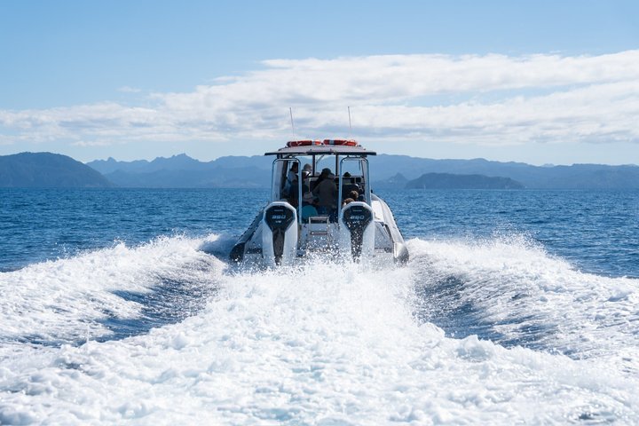 Coromandel äventyr och vilda djur båttur till Aldermen Islands