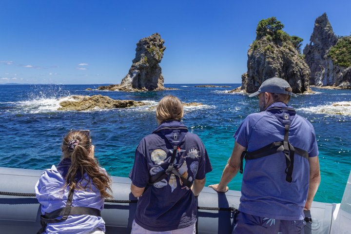 Coromandel äventyr och vilda djur båttur till Aldermen Islands