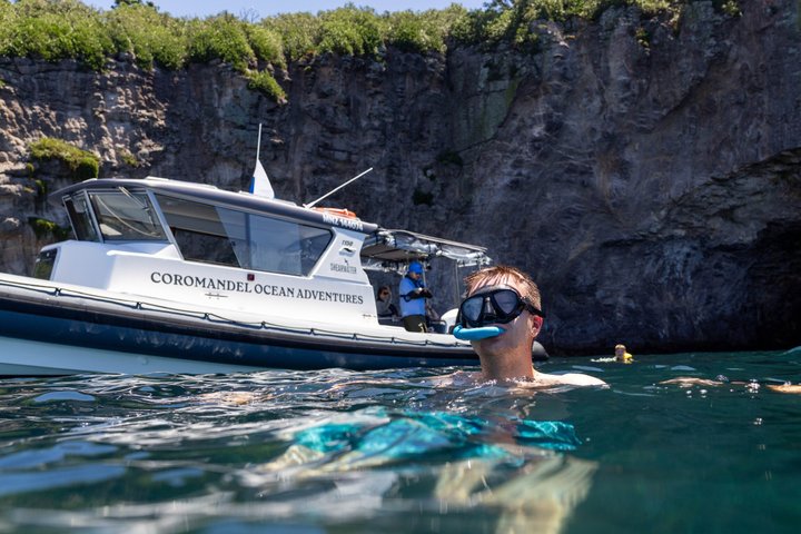 Coromandel äventyr och vilda djur båttur till Aldermen Islands