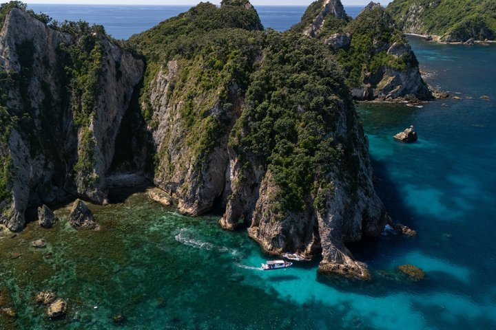 Coromandel äventyr och vilda djur båttur till Aldermen Islands