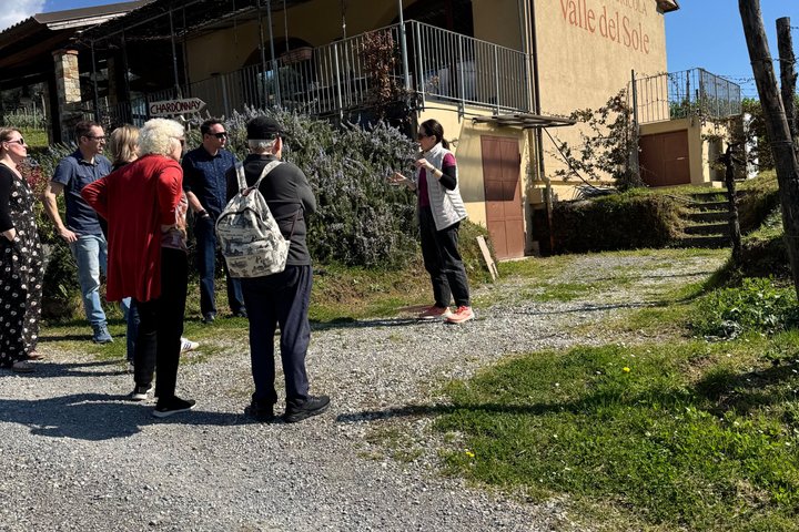 Privé wijntour door de magische heuvels van Lucca met een sommelier.