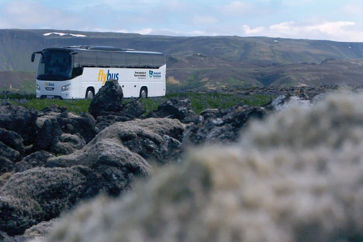 Flygplatstransfer : Keflavik flygplats till Reykjavik centrum på Island