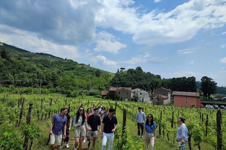 Privé wijntour door de magische heuvels van Lucca met een sommelier.