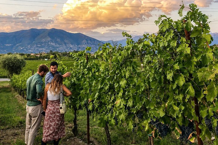 Degustazione con visita in cantina nel cuore della Franciacorta