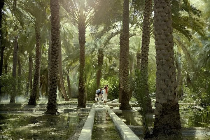 Privétour Al Ain vanuit Dubai met Engels sprekende chauffeur