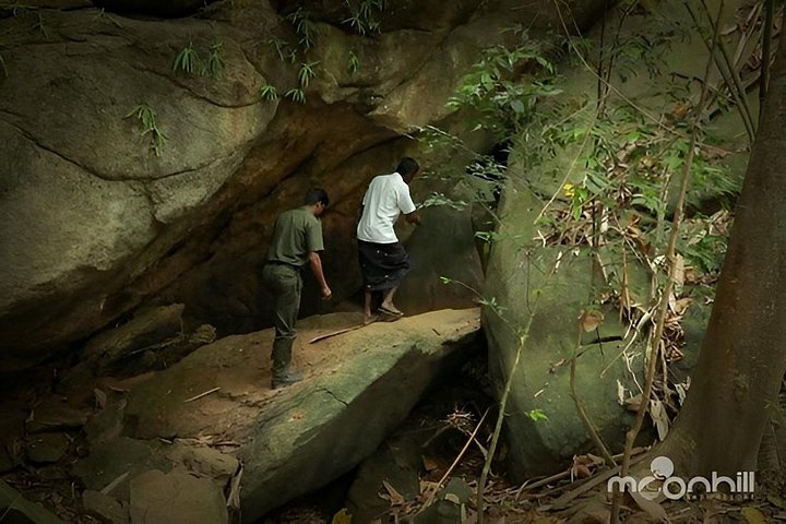 Anakulam Jeep Safari Tour med vandfald og vilde elefanter