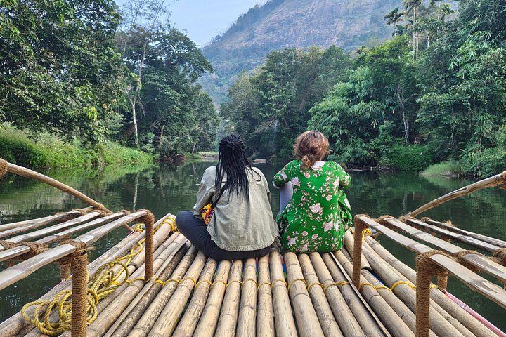 Anakulam Jeep Safari Tour med vandfald og vilde elefanter