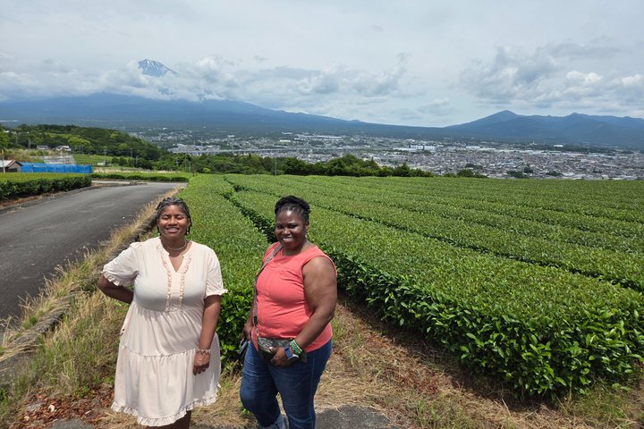 Courte visite pour voir le mont Fuji de divers angles depuis le port de Shimizu