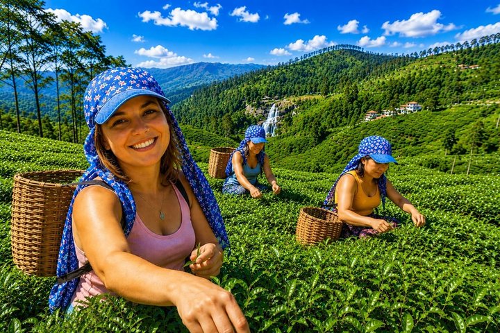 Nuwara Eliya Theeplukken en Proe-tochten Watervaltochten