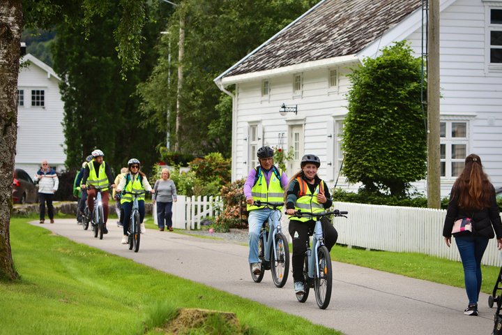 Olden : Naturskön elcykeltur med sjönära picknick och utsikt över fjorden