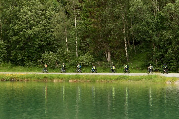 Olden : Naturskön elcykeltur med sjönära picknick och utsikt över fjorden