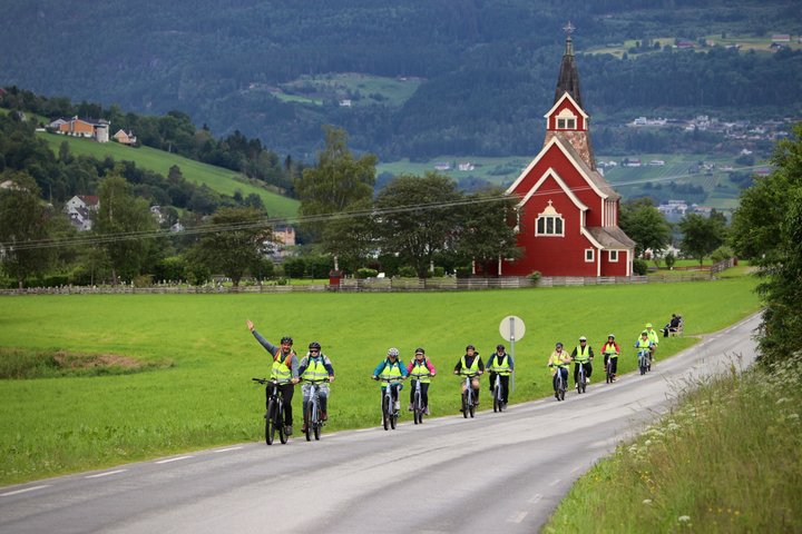 Olden : Naturskön elcykeltur med sjönära picknick och utsikt över fjorden