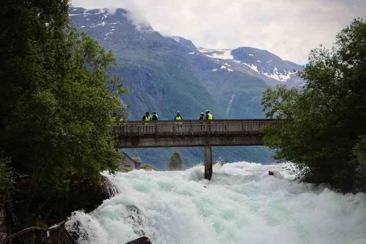 Olden : Naturskön elcykeltur med sjönära picknick och utsikt över fjorden