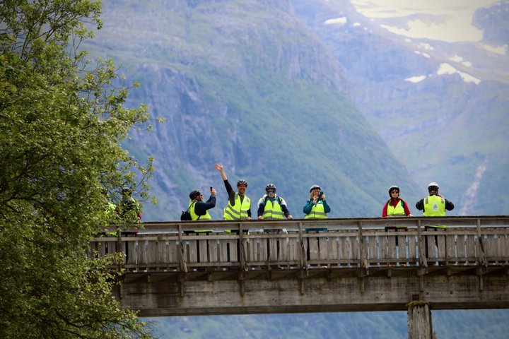 Olden : Naturskön elcykeltur med sjönära picknick och utsikt över fjorden