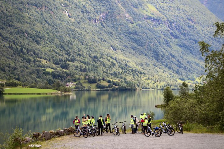 Olden : Naturskön elcykeltur med sjönära picknick och utsikt över fjorden