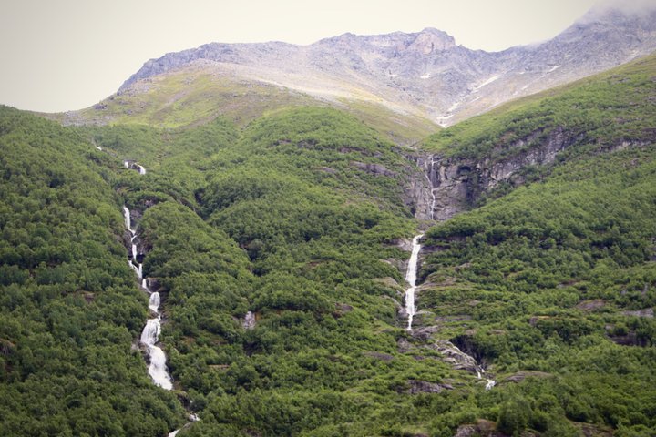 Olden : Naturskön elcykeltur med sjönära picknick och utsikt över fjorden