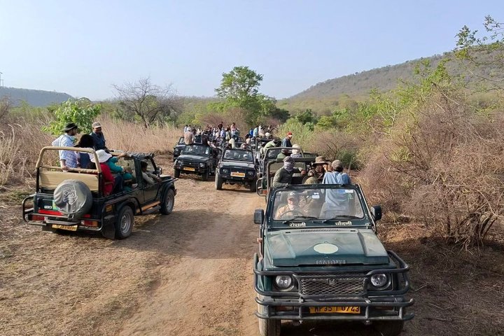 Pench Tiger Safari Tour 3 Tage und 2 Nächte ab Nagpur