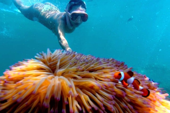 Geleide snorkeltour en lunch in het Tunku Abdul Rahman Marine Park