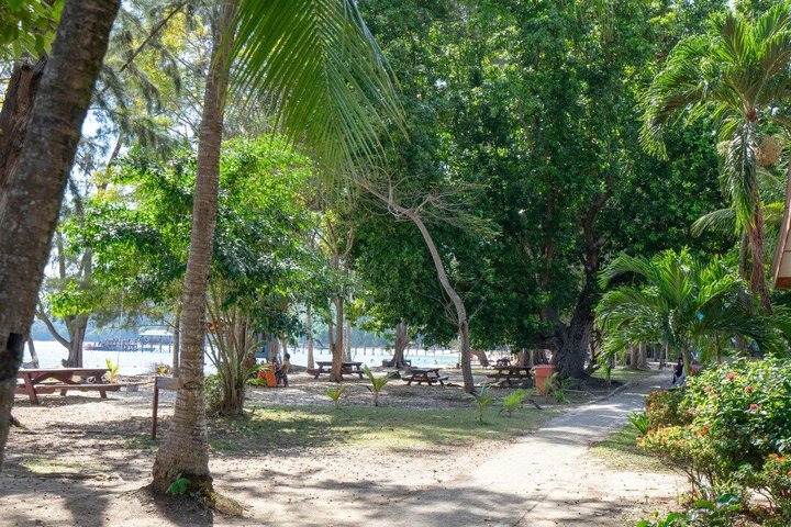 Geleide snorkeltour en lunch in het Tunku Abdul Rahman Marine Park