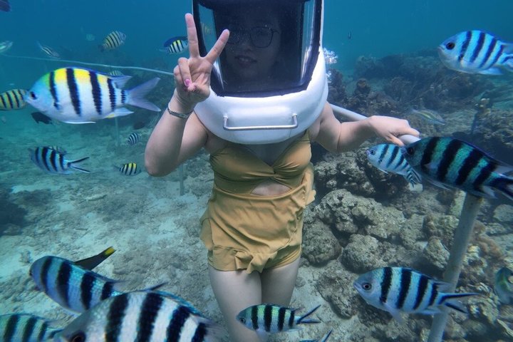 Geleide snorkeltour en lunch in het Tunku Abdul Rahman Marine Park