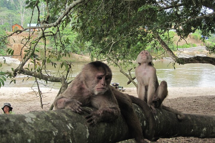 Grand Selva Expedição de 4 Dias da Floresta Amazônica Equador