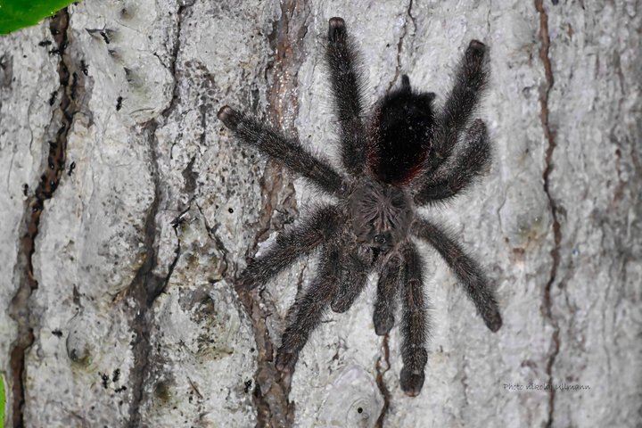 Grand Selva Expedição de 4 Dias da Floresta Amazônica Equador