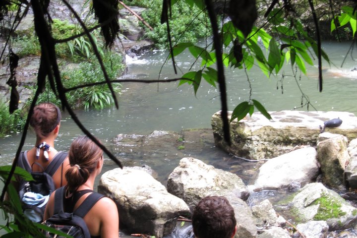 Grand Selva Expedição de 4 Dias da Floresta Amazônica Equador