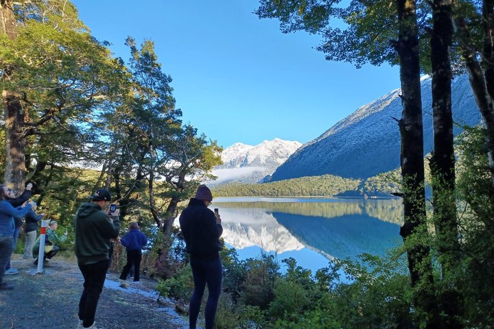Excursión premium a Milford Sound, crucero y almuerzo desde Te Anau