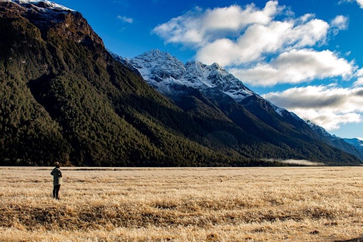 Excursión premium a Milford Sound, crucero y almuerzo desde Te Anau