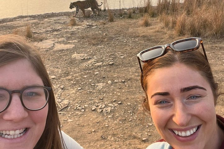 Ranthambore Tiger Safari | Gemeinsame Galopp-, Jeep- und Privatsafari