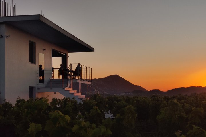 Samos : degustazione di vini presso l'azienda biologica Kostaki
