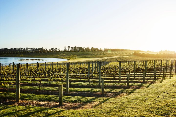 Die ultimative Mornington Peninsula-Tour zu Essen und Wein in kleiner Gruppe
