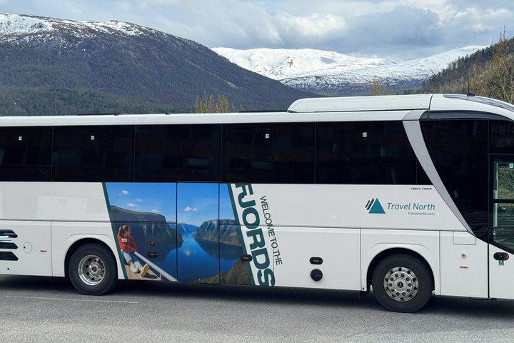 Bergen : Croisière UNESCO NærøyFjord, Flåm & Stegastein - Incl. Déjeuner