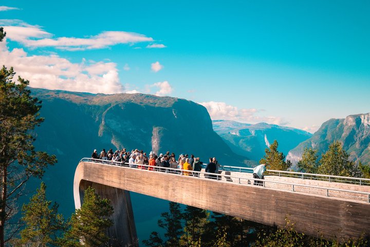 Bergen : Croisière UNESCO NærøyFjord, Flåm & Stegastein - Incl. Déjeuner