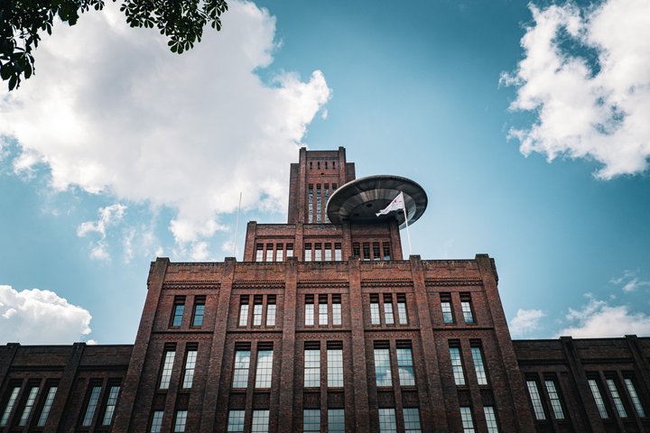 Tour a pie local de Utrecht | Descubre la ciudad | Grupo pequeño