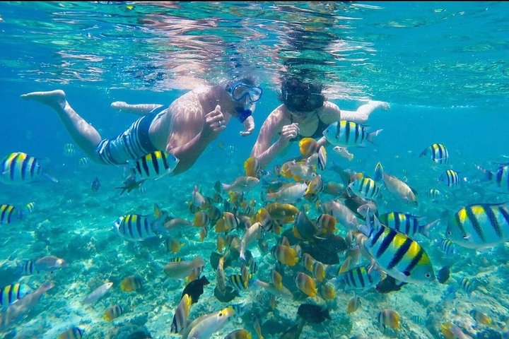 Location de bateau snorkeling bouillante à deshaies Guadeloupe