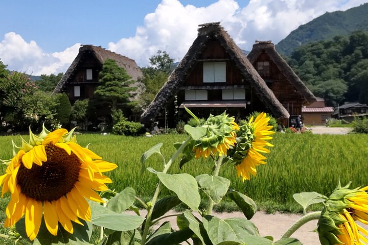 [En-dags bustur med afgang fra Kanazawa Station] Shirakawa-go og Gokayama, to verdensarvslandsbyer bustur